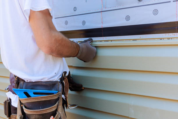 Affordable Siding Replacement solutions in Sidney, IL